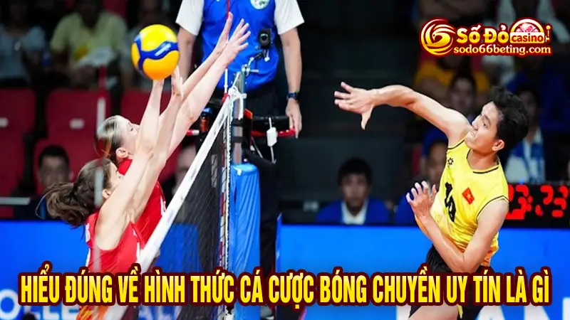 Hiểu đúng về hình thức cá cược bóng chuyền uy tín là gì