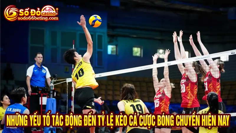 Những yếu tố tác động đến tỷ lệ kèo cá cược bóng chuyền hiện nay
