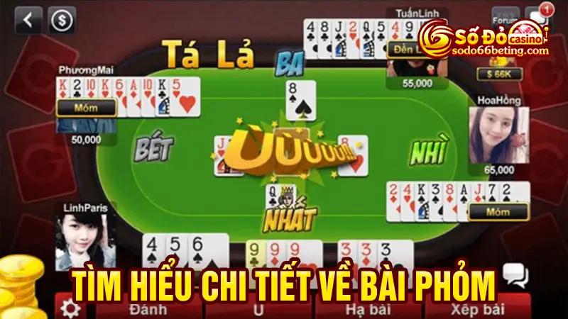Tìm hiểu chi tiết về bài phỏm