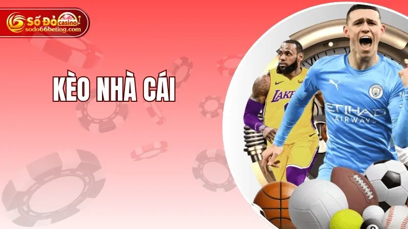 Kèo Nhà Cái Và Những Thông Tin Nhà Đầu Tư Nên Biết